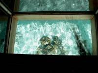 bora bora coffee table 2 